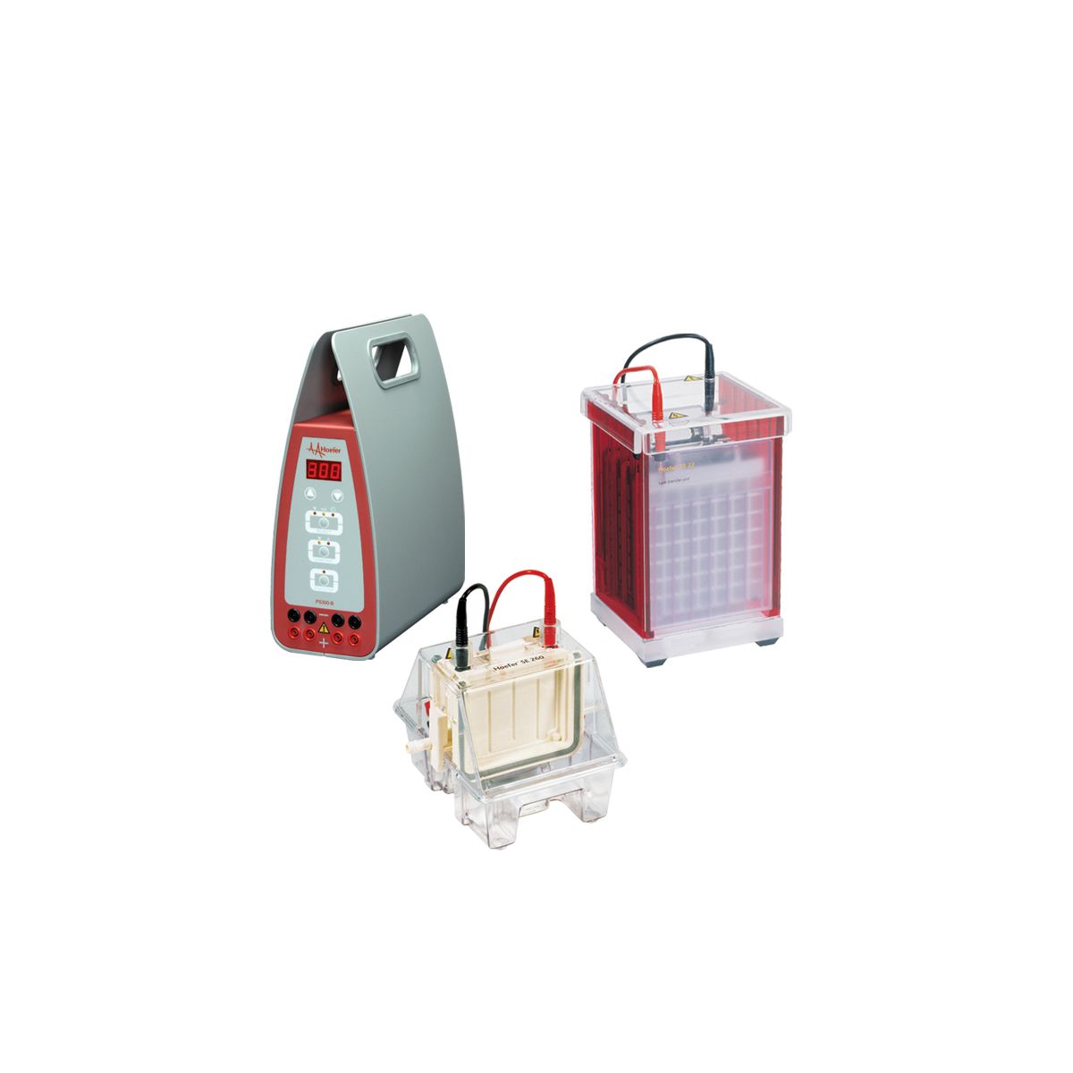 MINI WESTERN BLOTTING SYSTEM