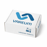 תמונת ברירת מחדל