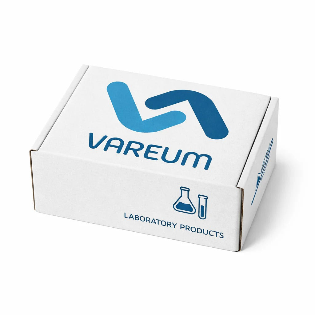 תמונת ברירת מחדל