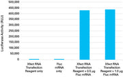 Xfect RNA Transfection Reagent for CRISPR/Cas9-mediated gene editing - Gene function - Takara Bio