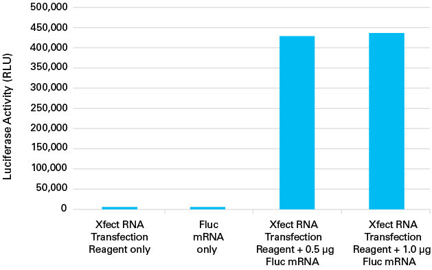 Xfect RNA Transfection Reagent for CRISPR/Cas9-mediated gene editing - Gene function - Takara Bio