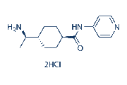 Y-27632 2HCl chemical structure