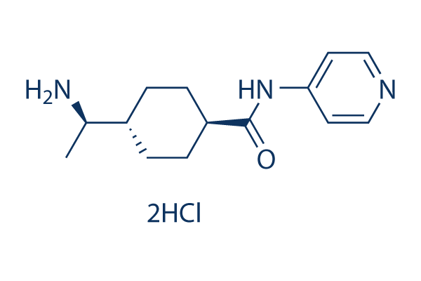 Y-27632 2HCl chemical structure