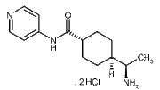 Y-27632 dihydrochloride