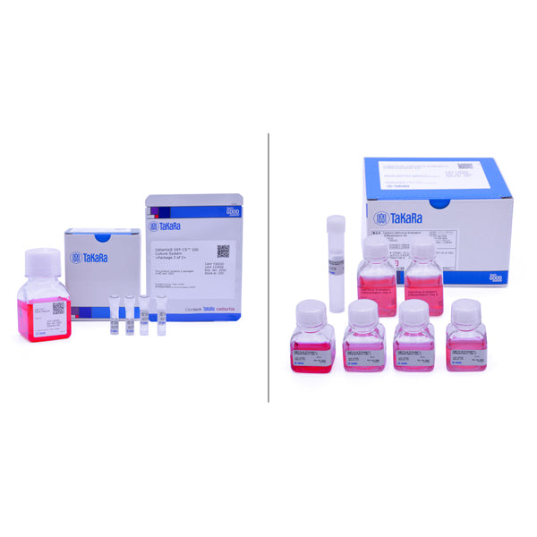 hiPSC to definitive endoderm differentiation kit - Stem cell research - Takara Bio