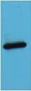 Western blot analysis of AmCyan recombinant protein, diluted at 1:5000.