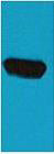 Western blot analysis of EBFP recombinant protein, diluted at 1:5000.