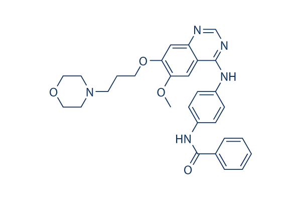 ZM 447439 chemical structure