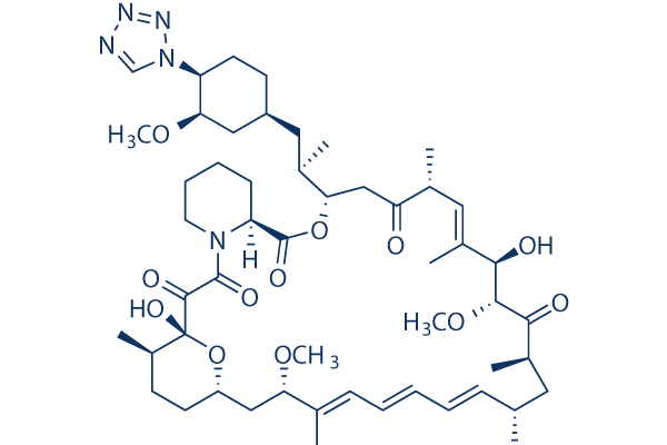 Zotarolimus