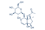 Acetylharpagide chemical structure