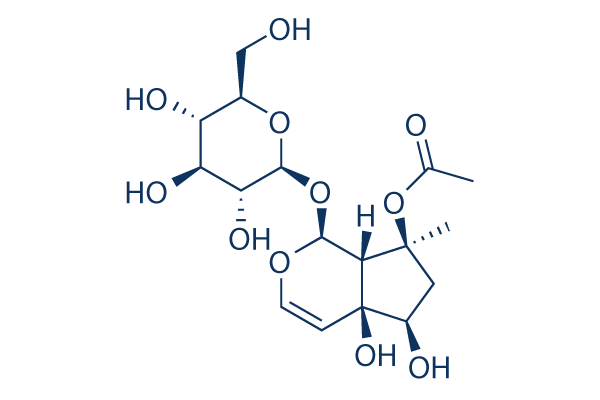 Acetylharpagide chemical structure