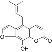 Alloimperatorin