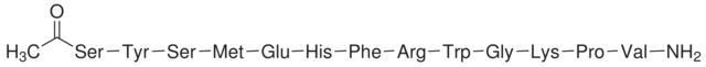 α-MSH