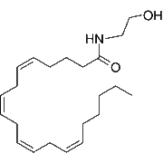 Anandamide