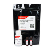 Annexin V-Biotin Apoptosis Detection Kit