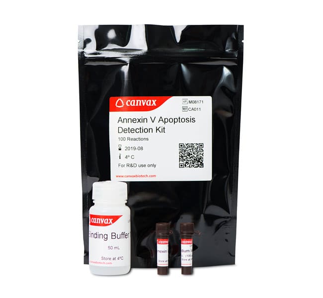 Annexin V-FITC Apoptosis Detection Kit