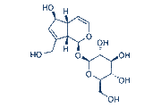 Aucubin chemical structure