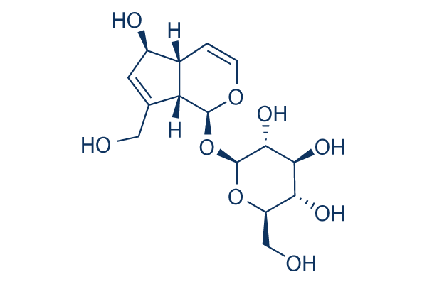 Aucubin chemical structure