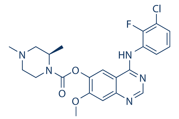 Zorifertinib (AZD3759) chemical structure