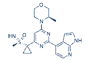 Ceralasertib (AZD6738) chemical structure