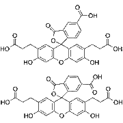 BCECF