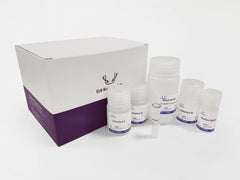 Hydrogen Peroxide assay kit