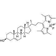 BODIPY-Cholesterol
