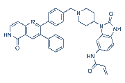 Borussertib chemical structure