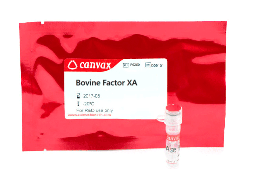 Bovine Factor Xa