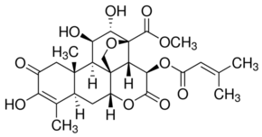 Brusatol