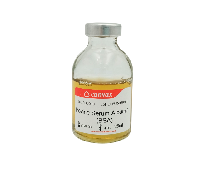 Bovine Serum Albumin (BSA), 30 % liquid