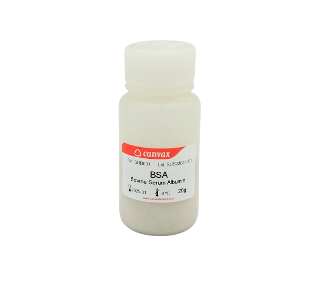 Bovine Serum Albumin (BSA), Lyophilised pH ~7