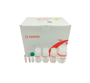 HigherPurity™ Buccal Saliva DNA Extraction Kit
