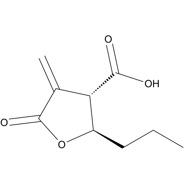 Butyrolactone 3
