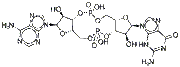 3′3′-cGAMP