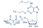Cangrelor Tetrasodium chemical structure