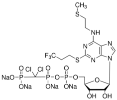 Cangrelor tetrasodium