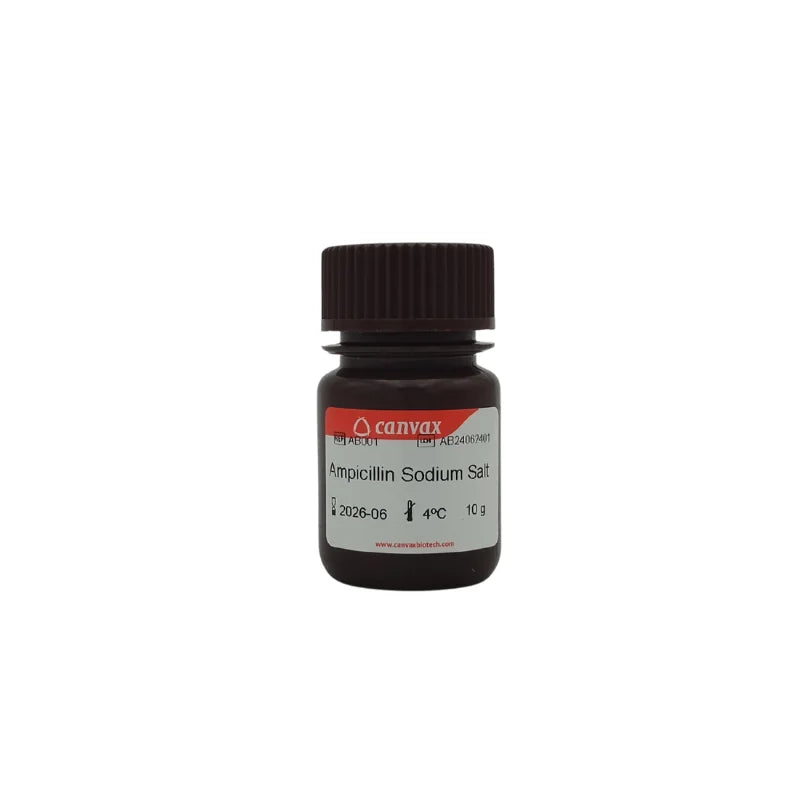 Ampicillin Sodium Salt
