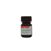 Gentamicin Sulfate