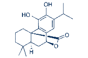 Carnosol chemical structure
