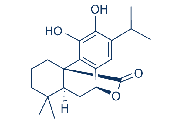 Carnosol chemical structure