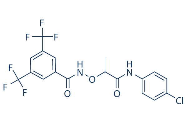 CCG-1423 chemical structure