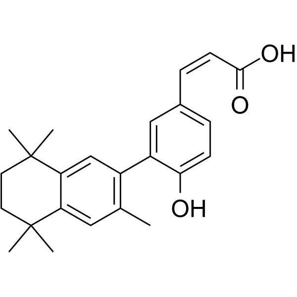 CD3254