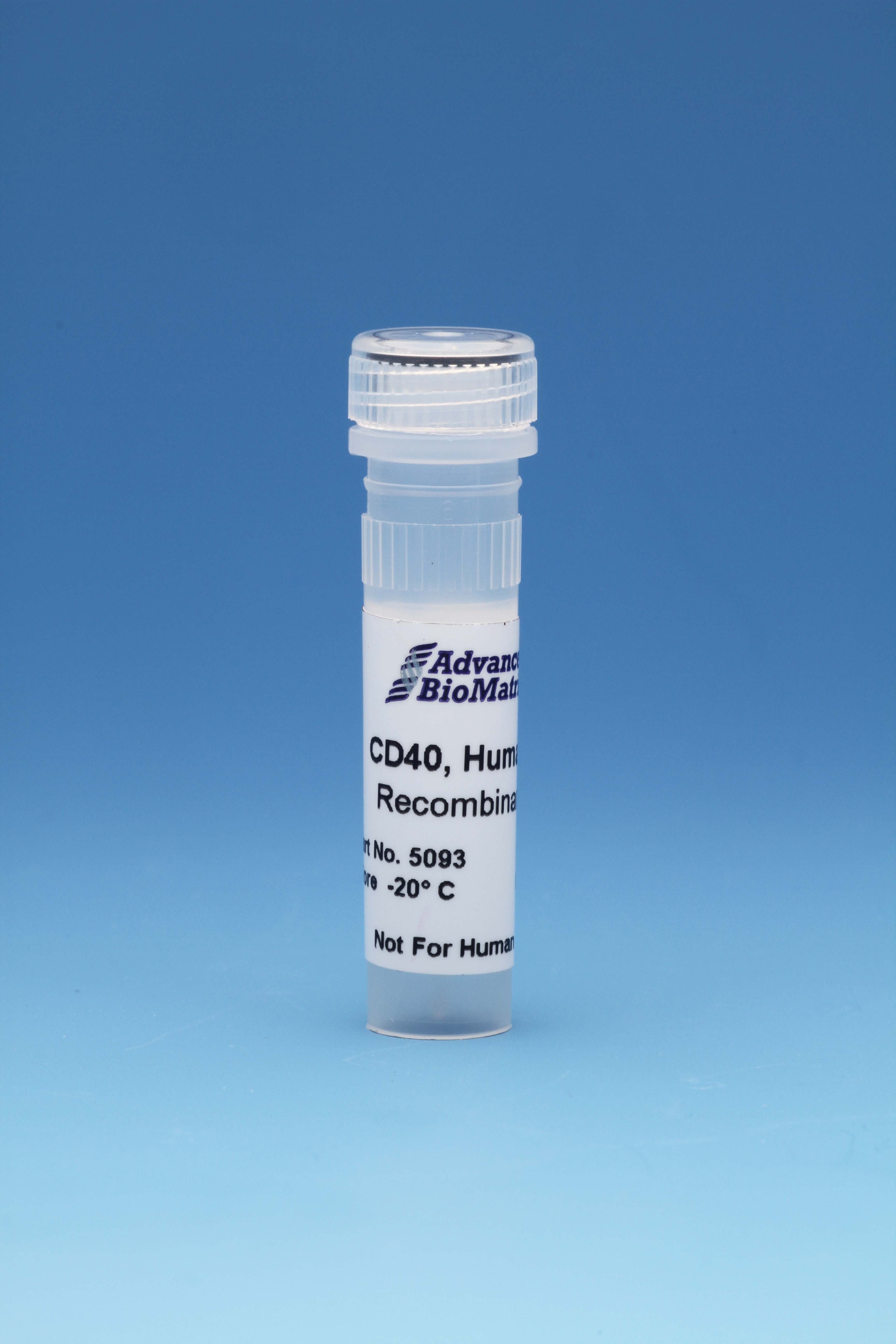 CD40, Human, Recombinant, 0.5 mg/ml, 0.1 mg