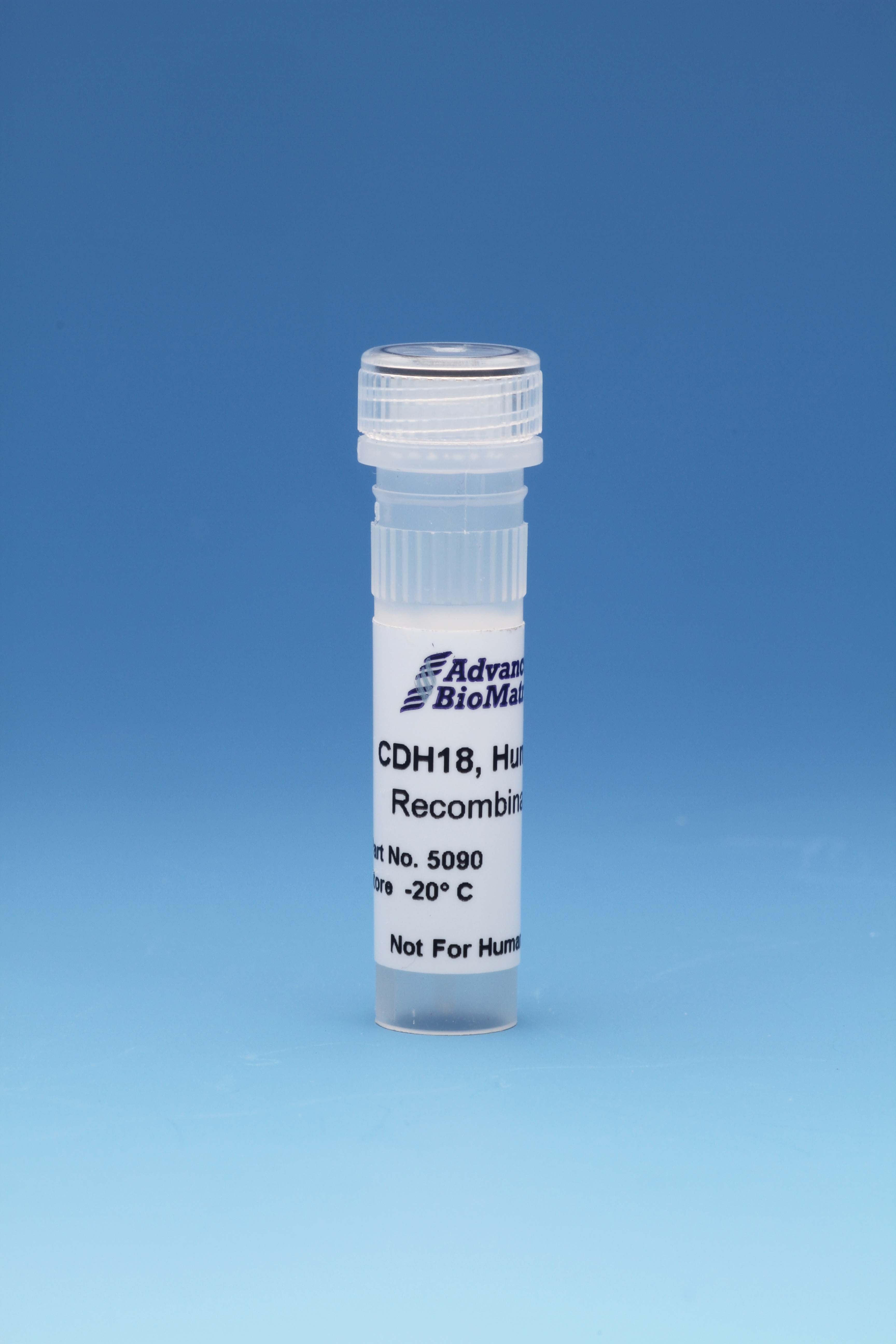 CDH18, Human, Recombinant,  0.5 mg/ml, 0.1 mg