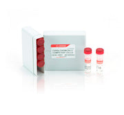 CVX5α™ Chemically Competent Cells