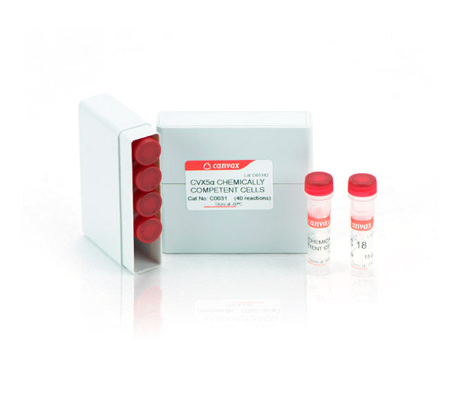 CVX5α™ Chemically Competent Cells