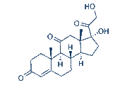Cortisone chemical structure