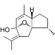 Curcumenol