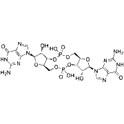 Cyclic-di-GMP